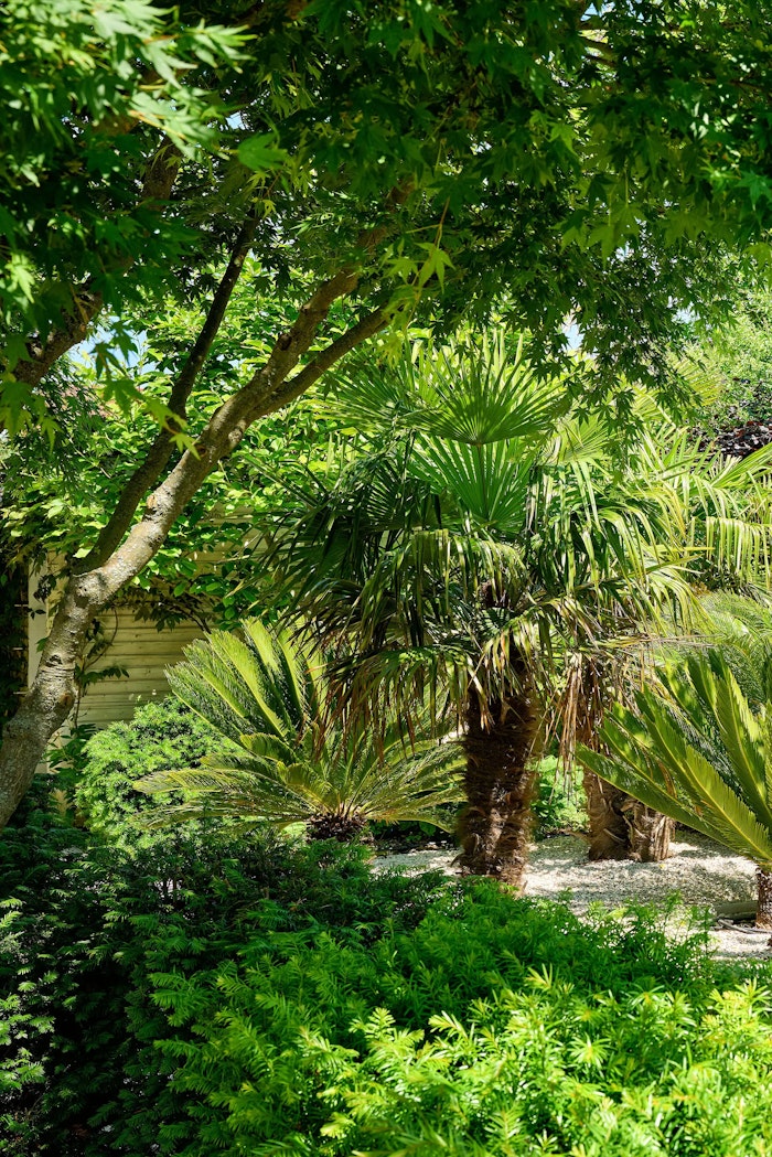 Der neue Bauerngarten